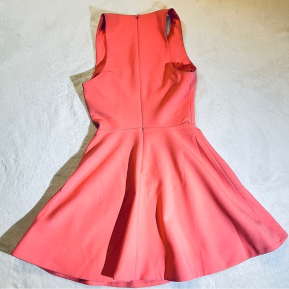 Elizabeth & James Coral Flared Dress - Picture 3 of 6